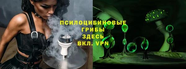 прущие грибы Верея