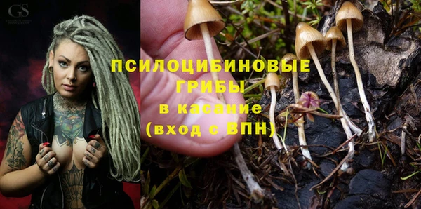 мдпв Михайловск