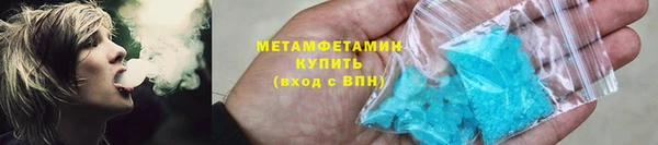 прущие грибы Верея