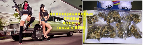 марки lsd Бугульма