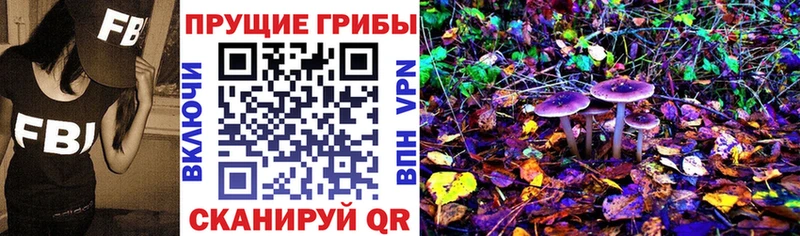 shop состав  Губаха  Псилоцибиновые грибы Magic Shrooms 